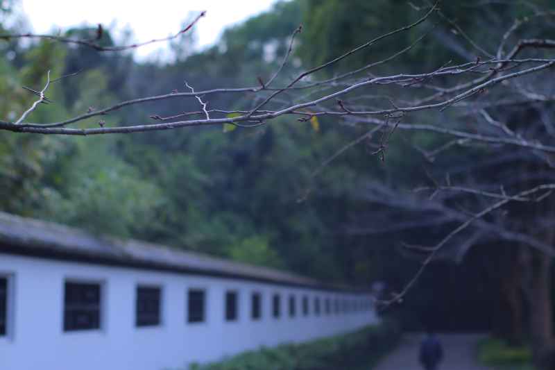 鼋头渚