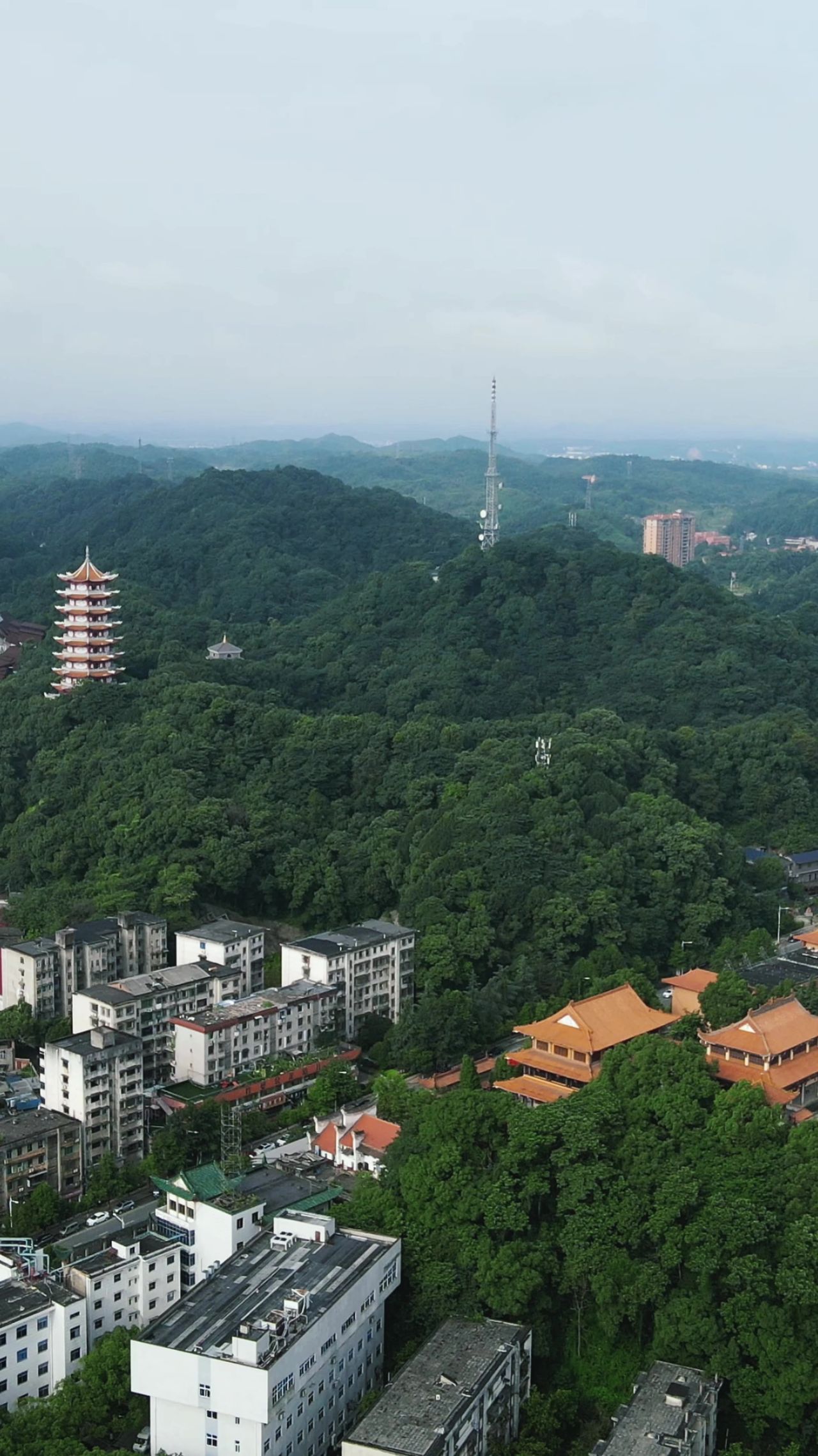 旅游景区湖南益阳白鹿寺古建筑竖屏航拍