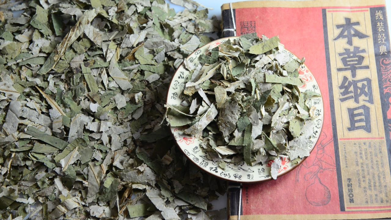 荷叶中药材 17