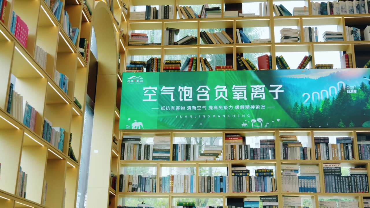 图书馆的宁静一角