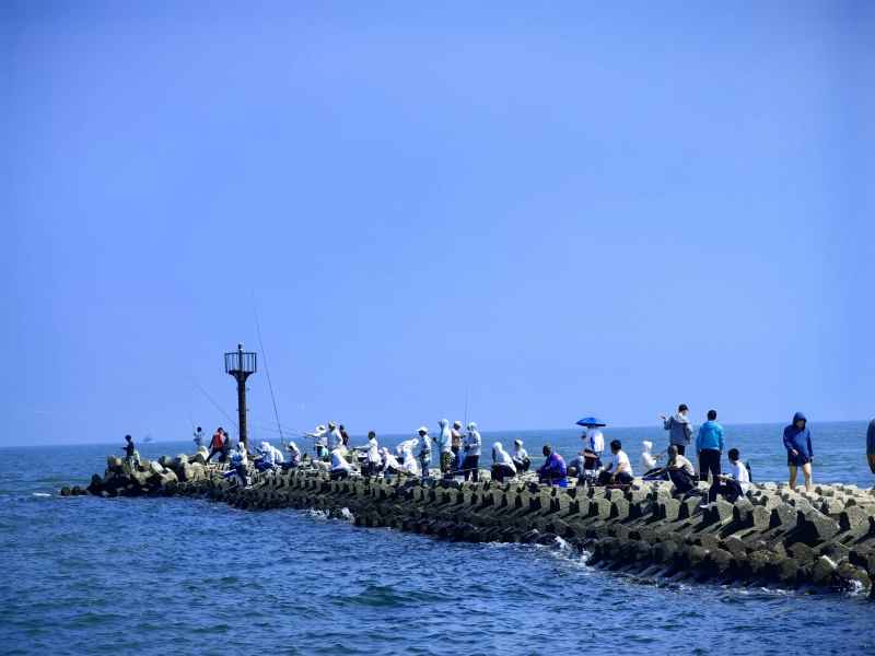 海边的钓鱼佬