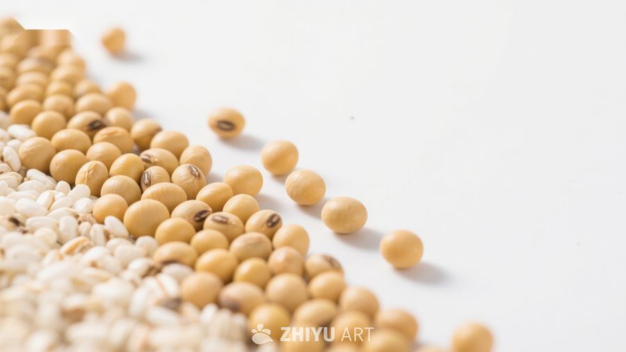 大豆与米粒的排列