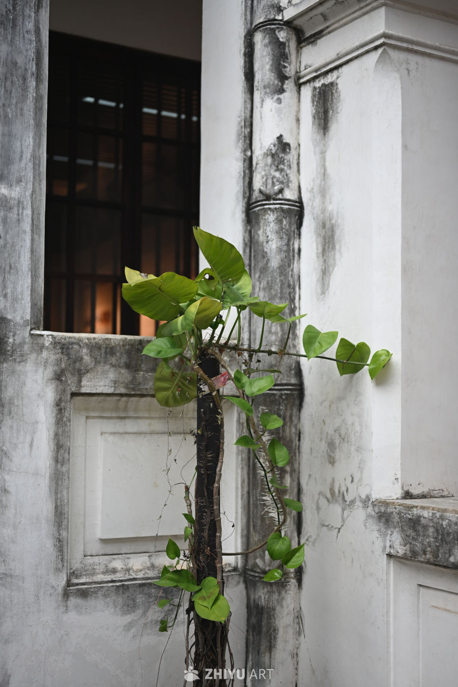 尼康ZR 照片拍摄原片样片 407