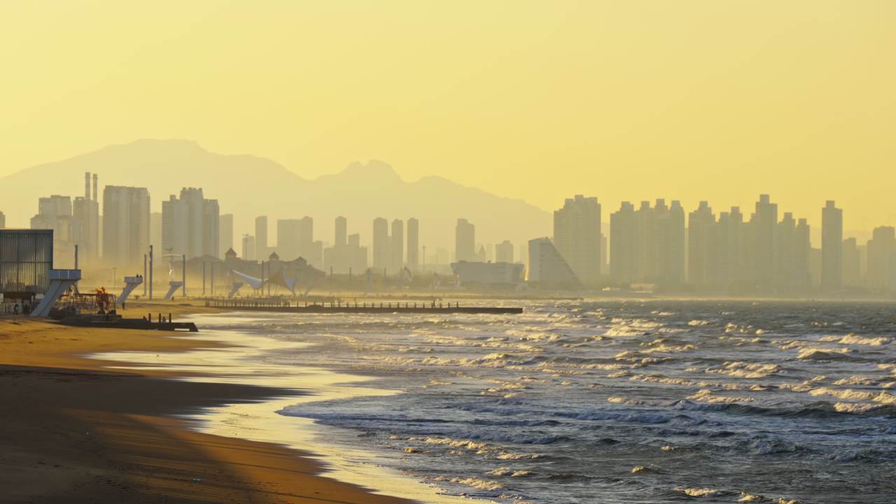 日出时分的城市海滩