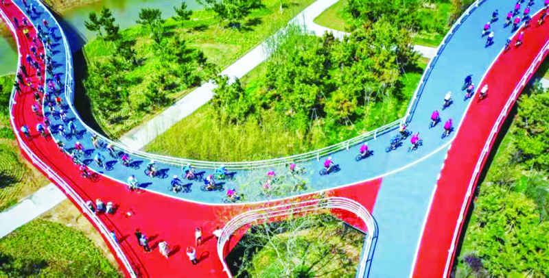 绿道 骑行 跑步 5