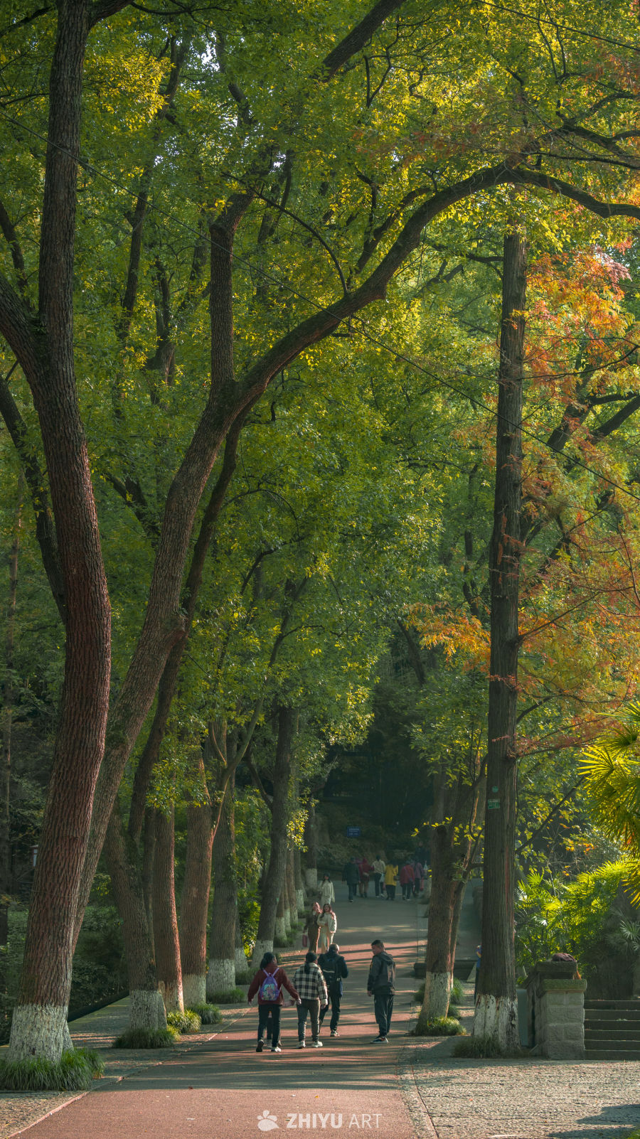 秋日公园漫步