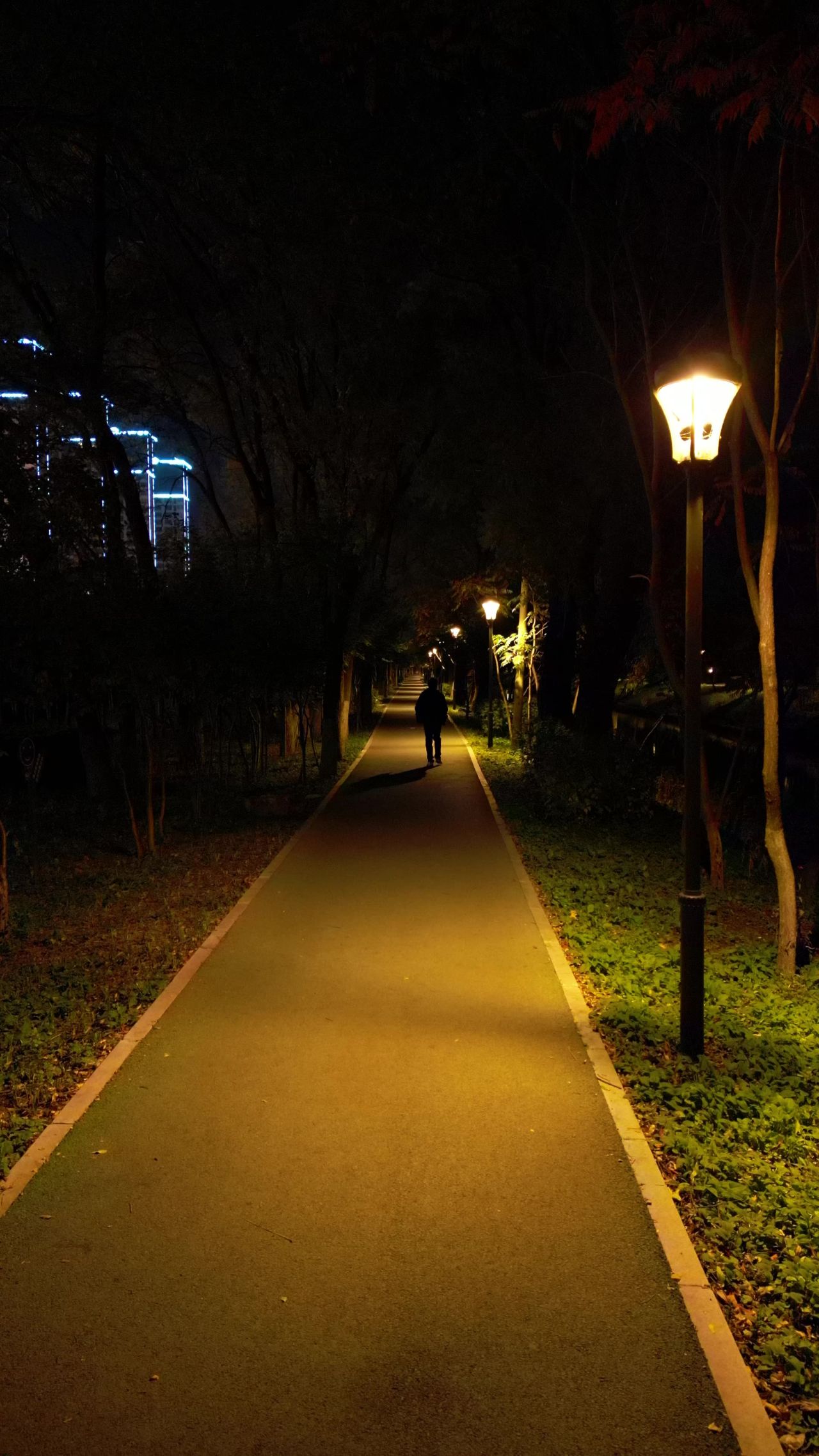夜晚城市公园小路