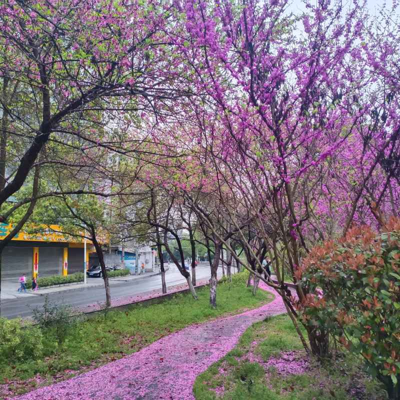 自然风景