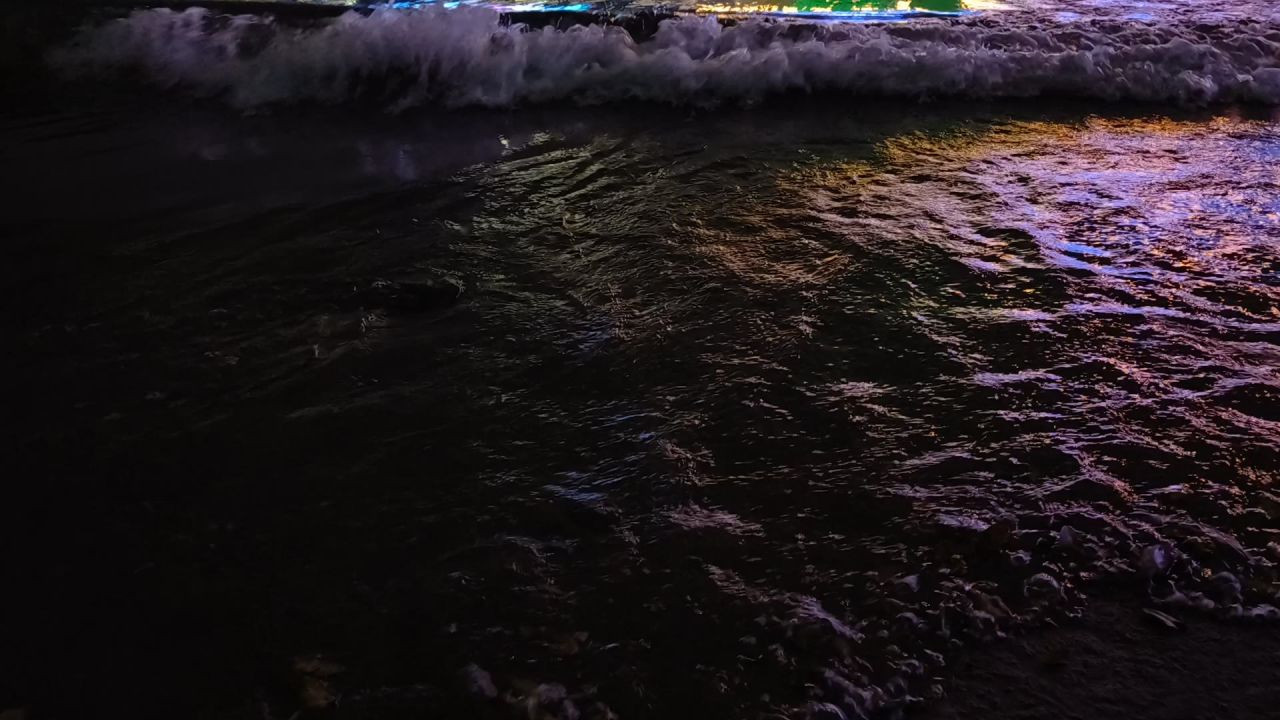 浪花