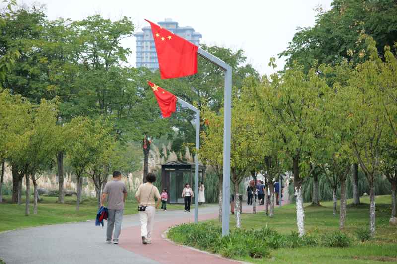 喜迎国庆 国庆 五星红旗迎风飘扬 人与自然 44
