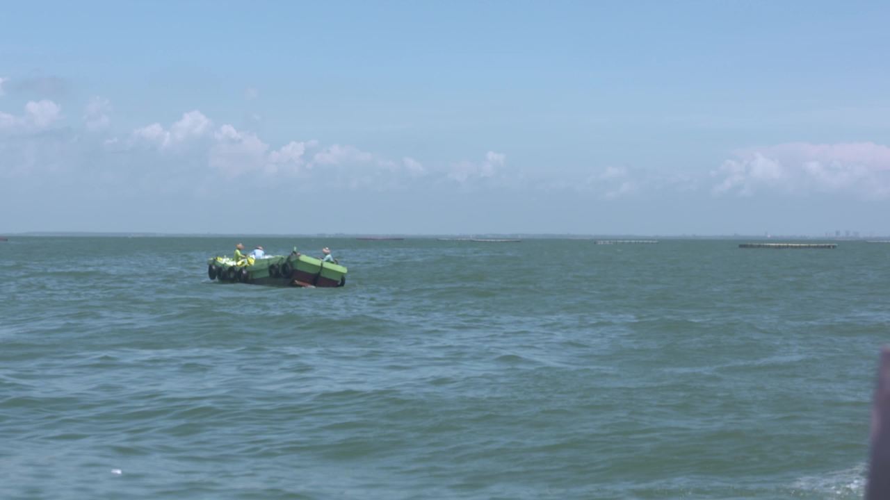 海洋牧场深海养殖