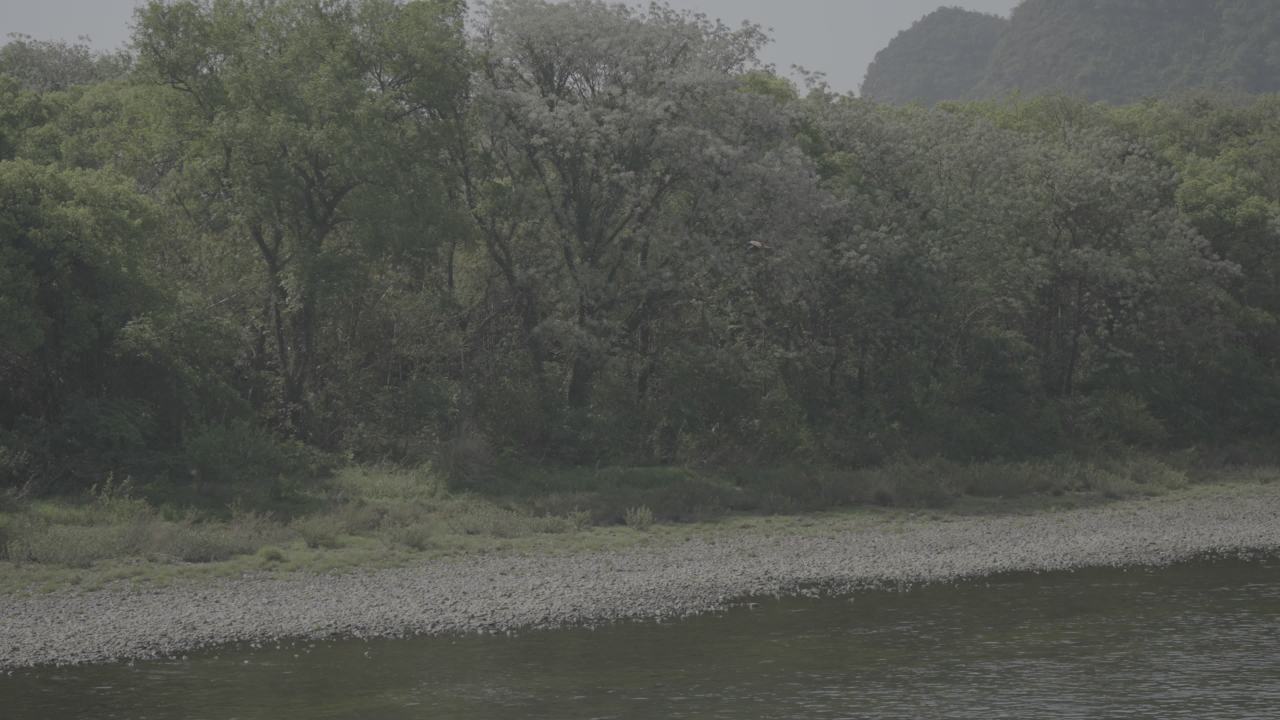 漓江 16