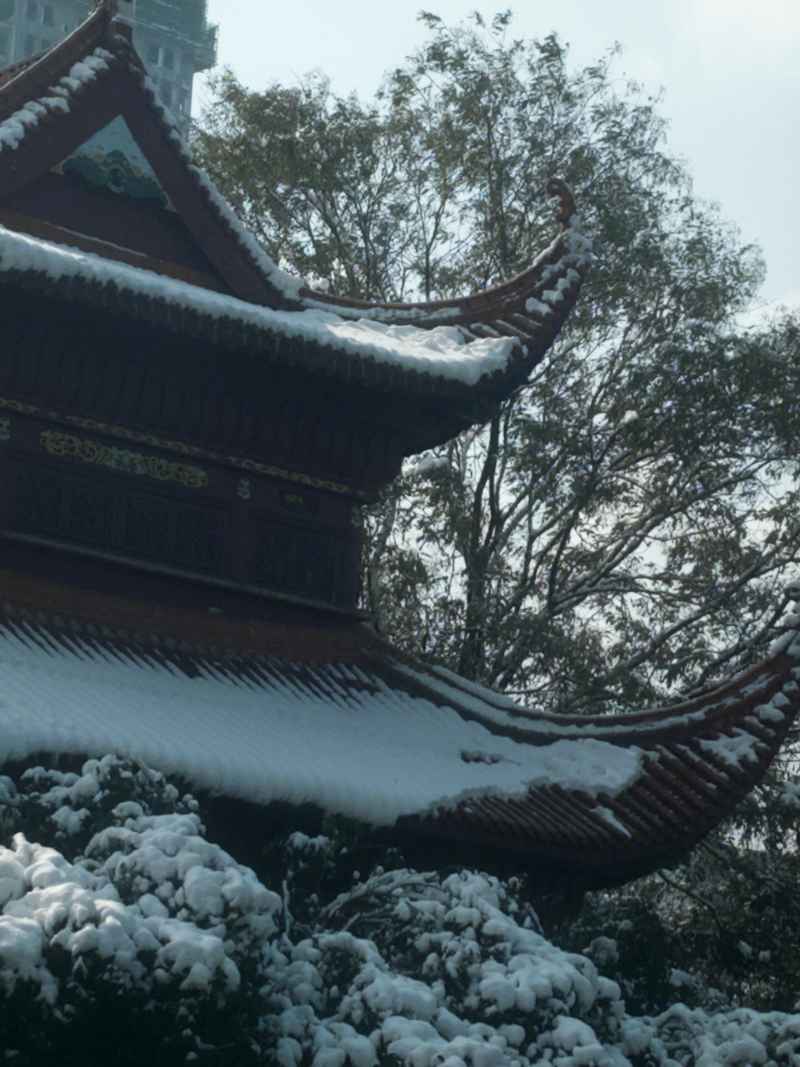 古寺雪