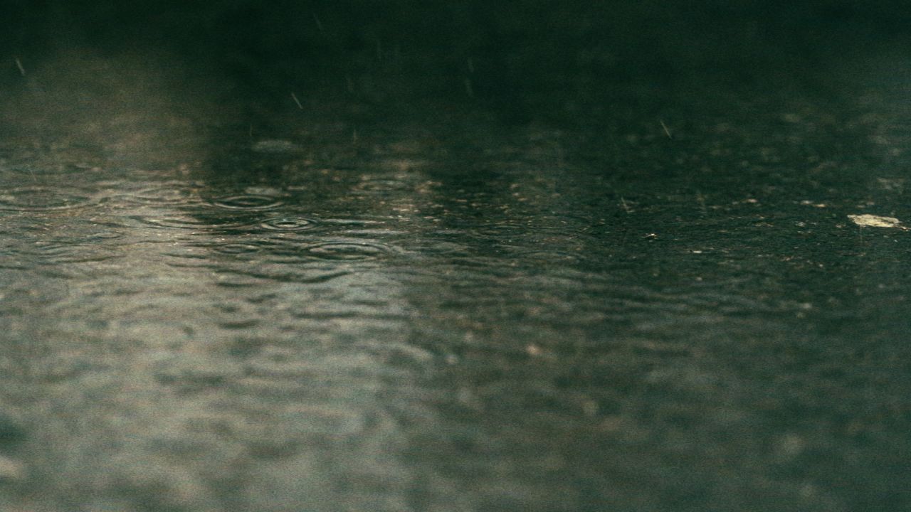 下雨雨水雨滴4K实拍