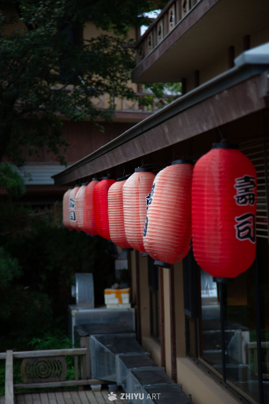和风 5