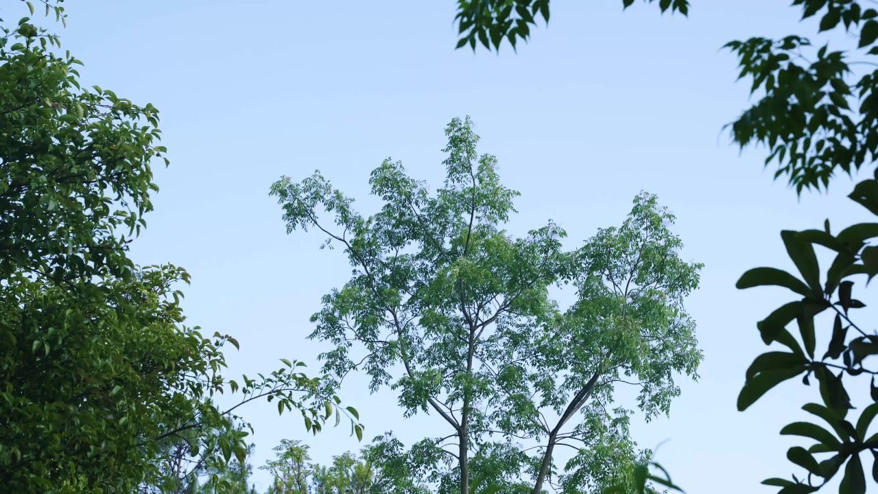 自然风光与宁静时光