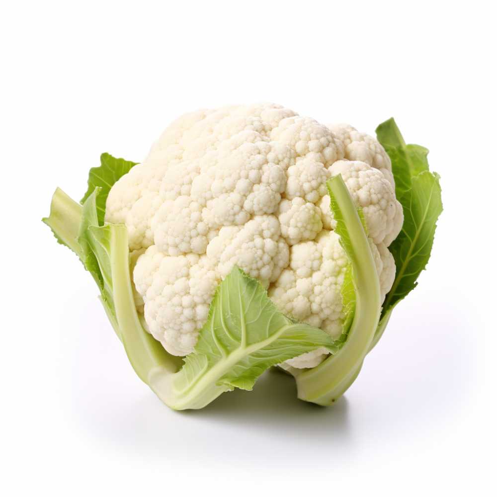 摄影元素