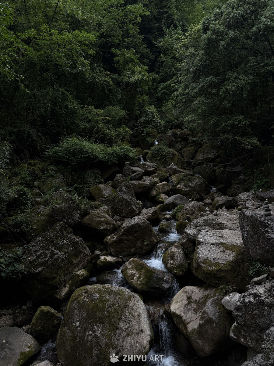 青城山雨后直拍 1