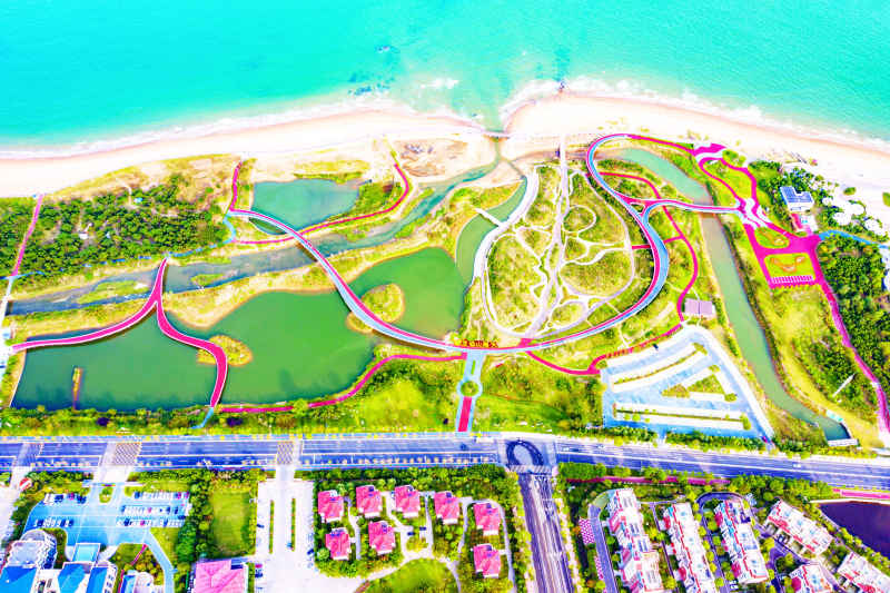 绿道 骑行 跑步 1