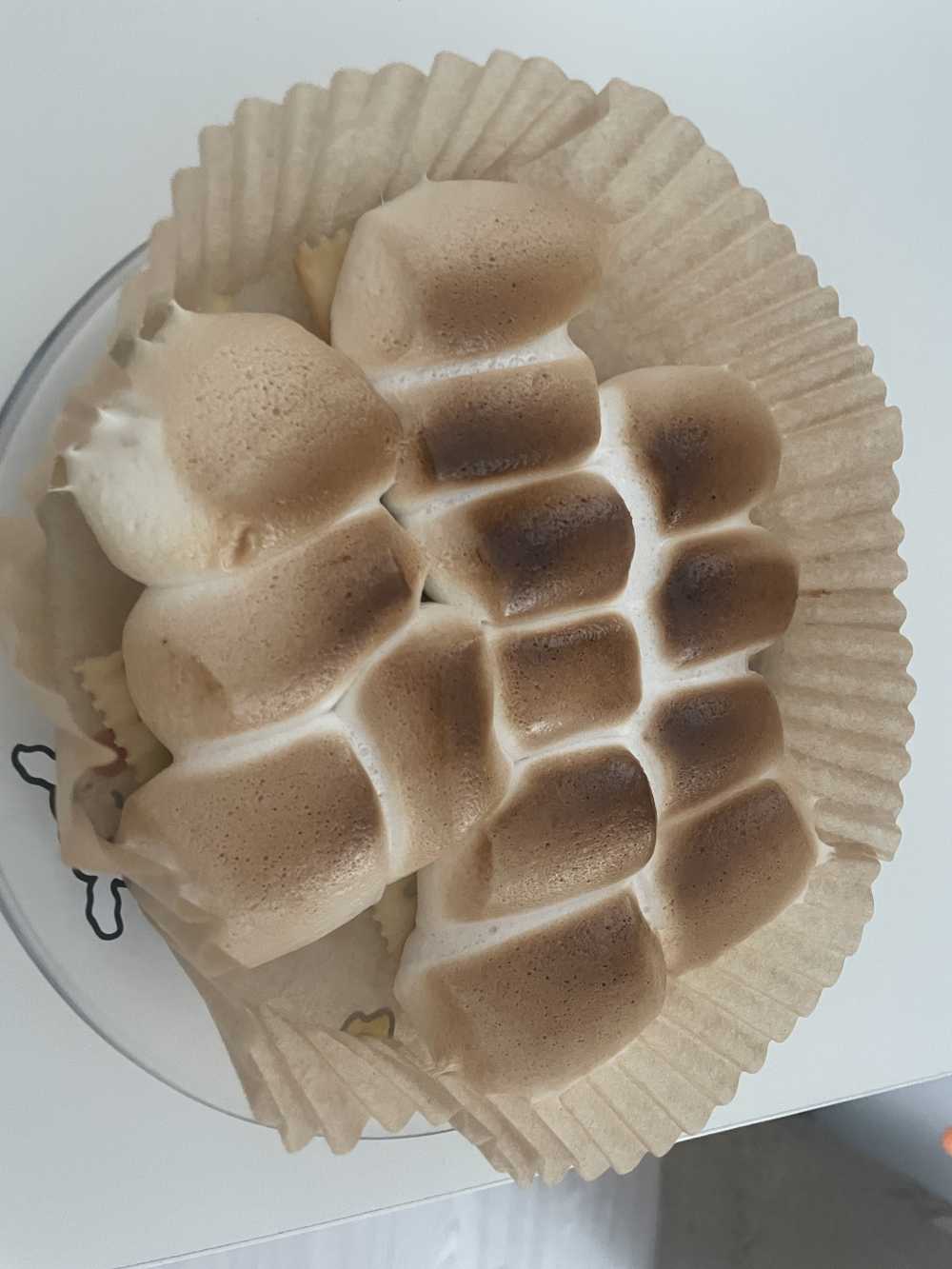 棉花糖的一生