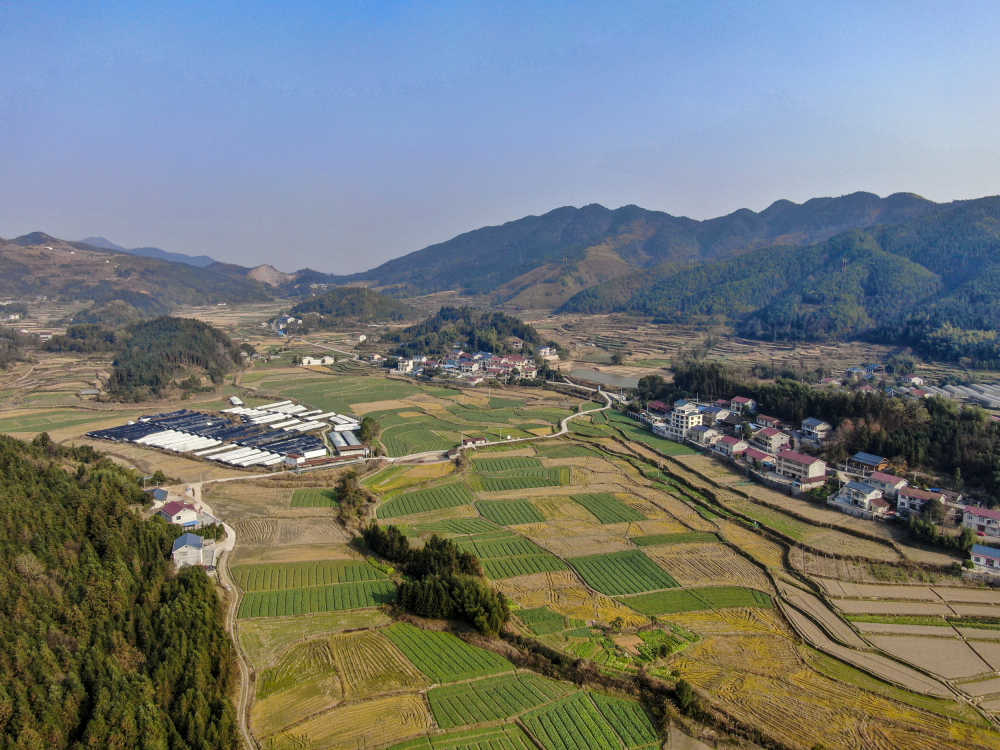 俯拍春耕农田农作物田地