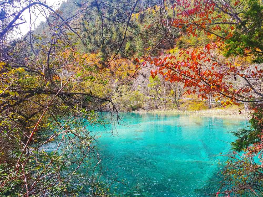 九寨沟秋景