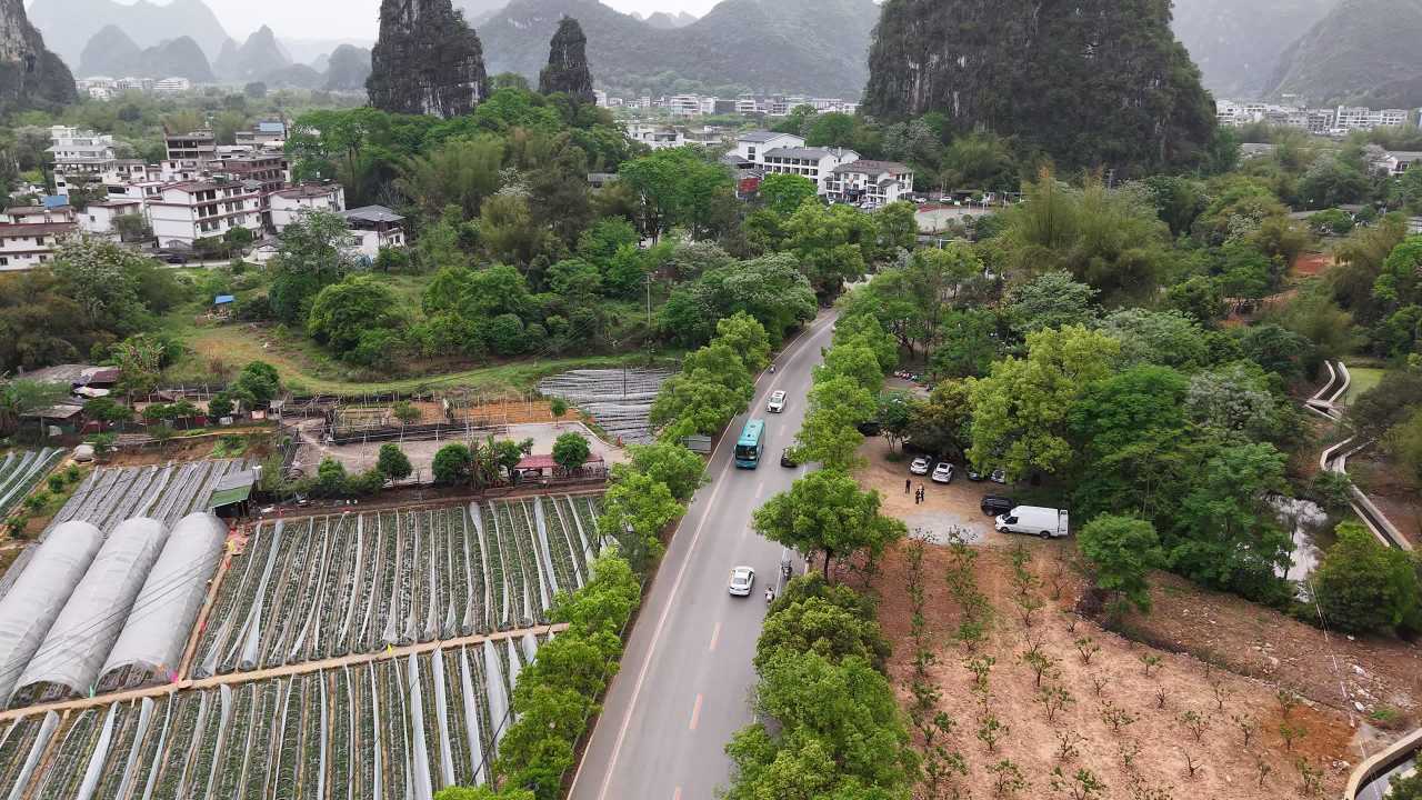 广西 15
