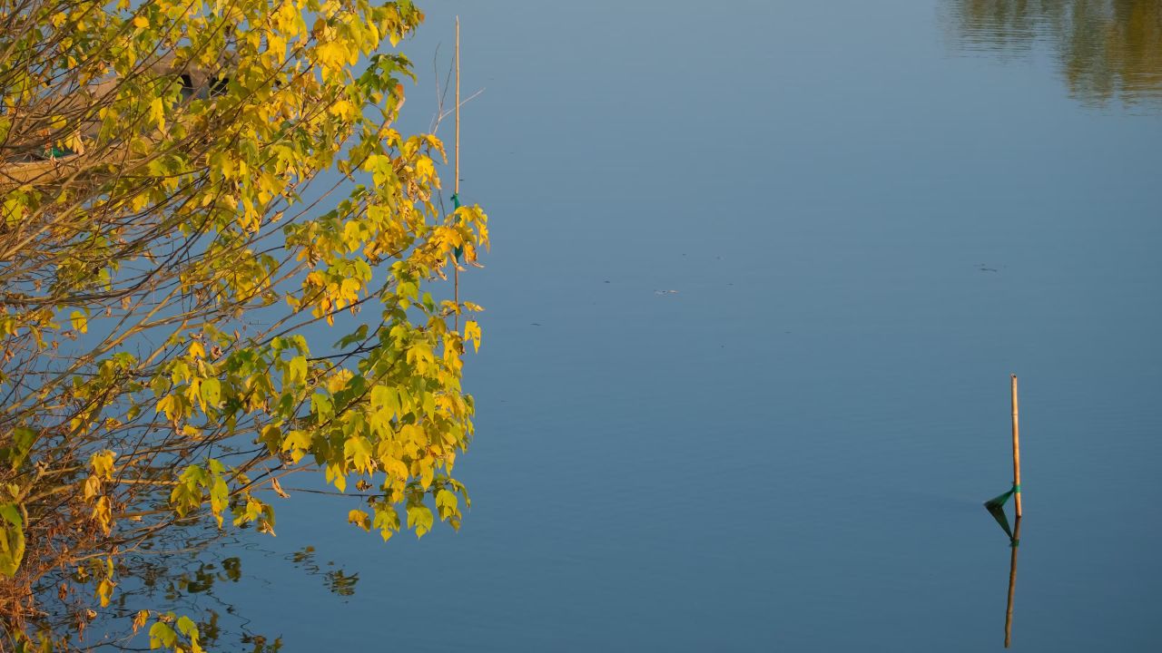 秋天平静的湖面实拍镜头