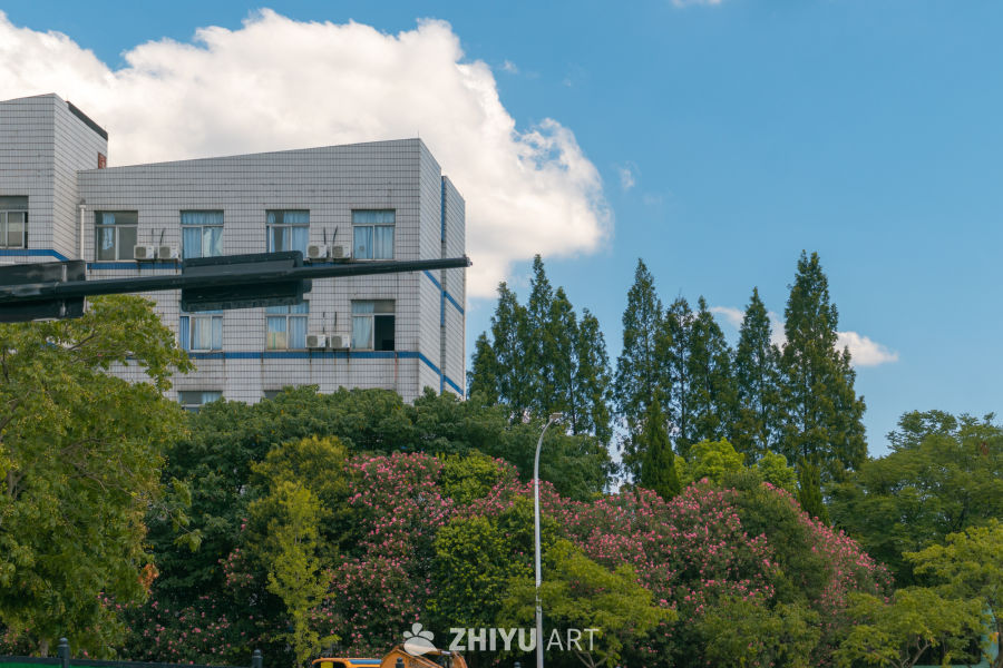 现代建筑与绿意盎然的景象