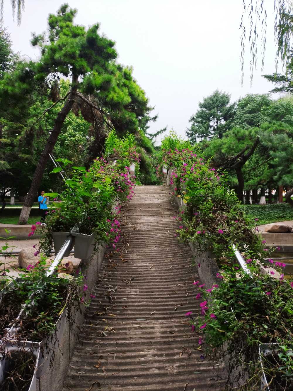 东北大学风景2