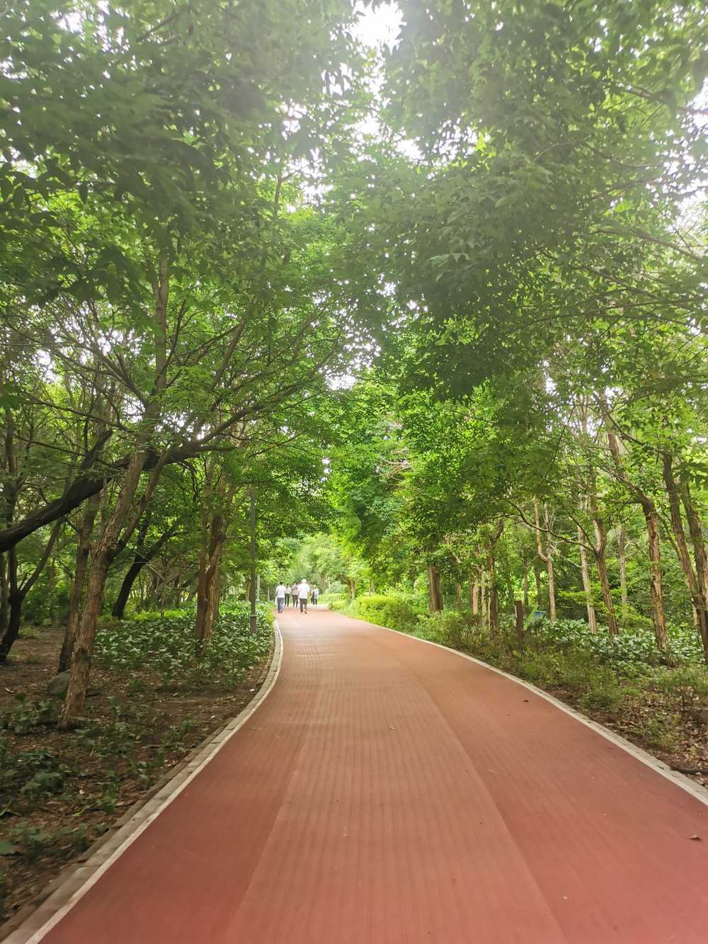 水光潋滟晴方好 风景 公园 