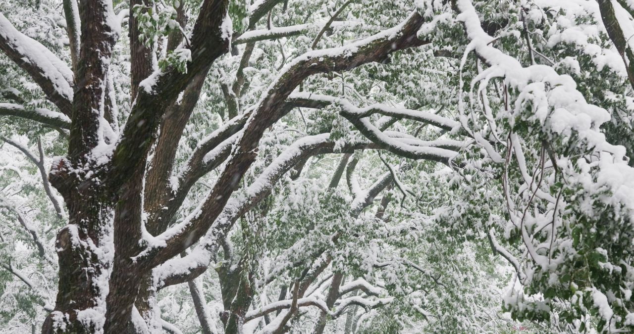 湖南长沙岳麓山爱晚亭城市雪景风光 15