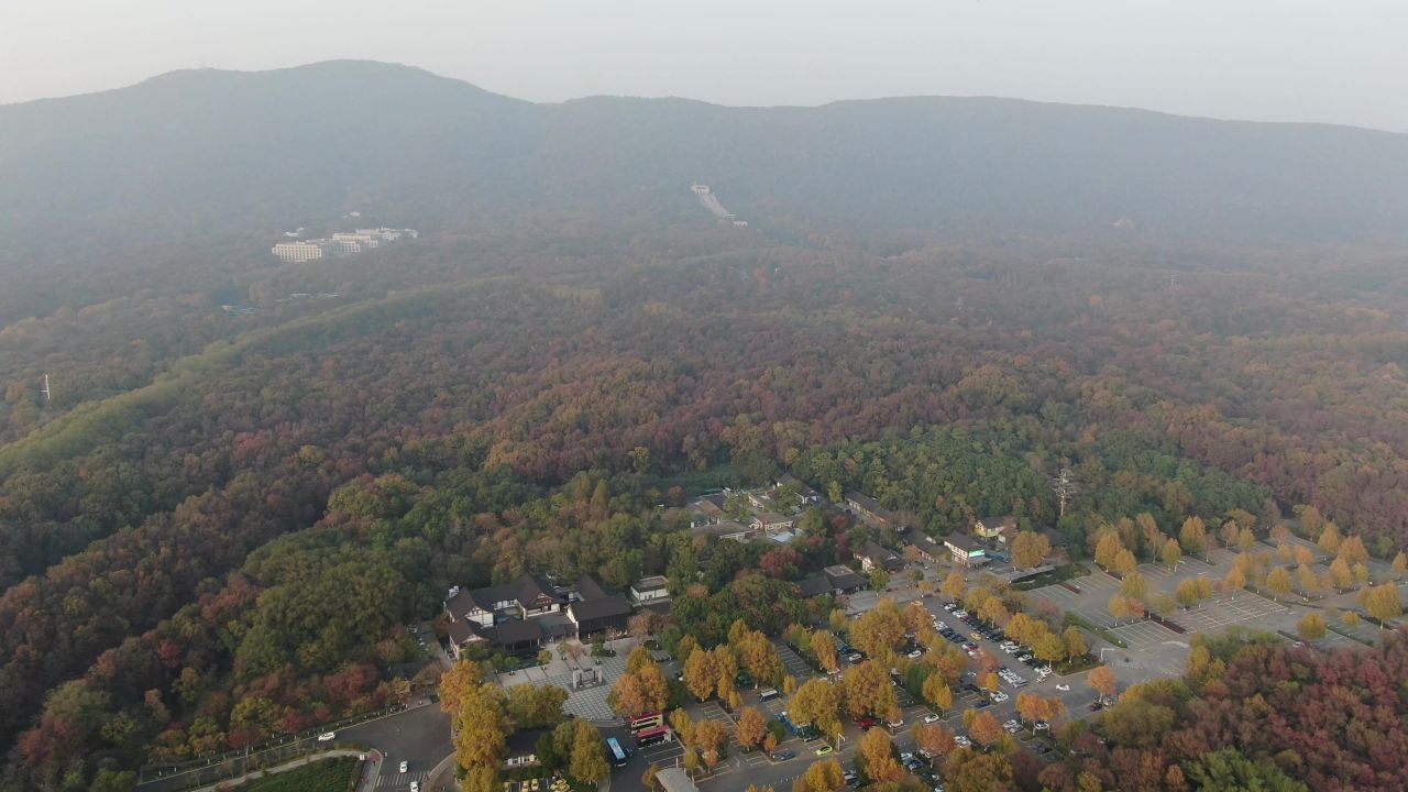 航拍南京钟山5A景区秋天红色枫叶植物 