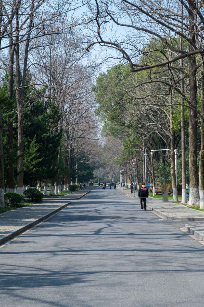 南京林业大学 2