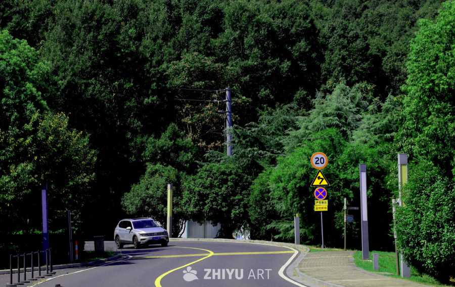 溧水五想山S弯道：南京近郊的绿野仙踪