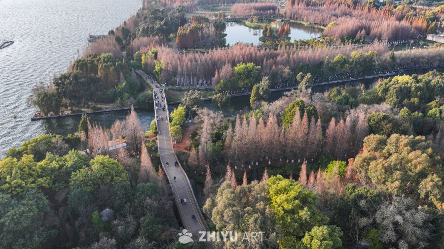 航拍云南昆明海洪湿地公园 2