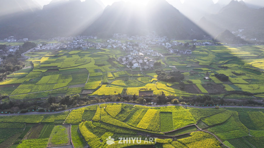 航拍贵州兴义万峰林油菜花开 23