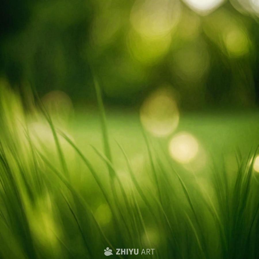 一片绿色的草地，画面模糊失焦，呈现出平滑的散景效果