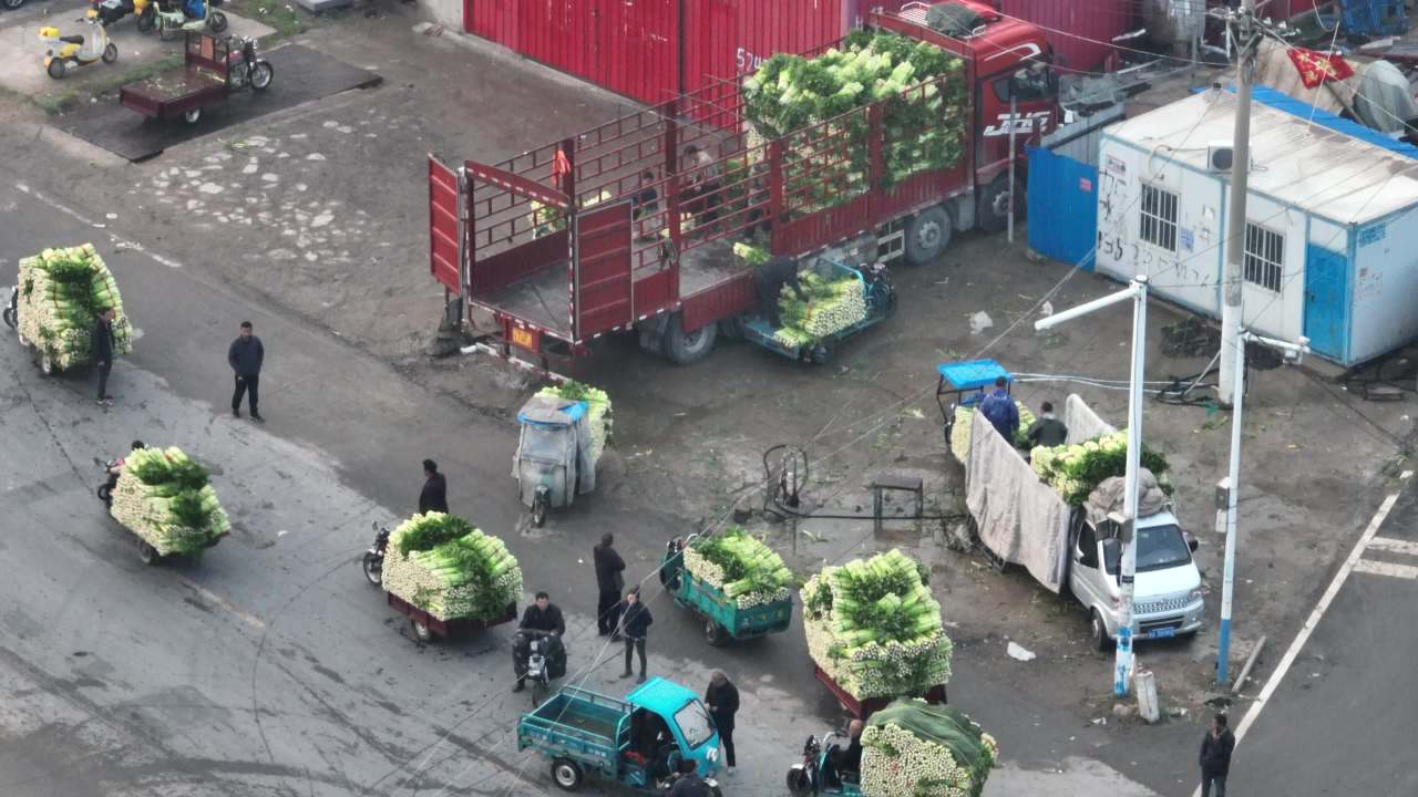 市场蔬菜运输繁忙景象