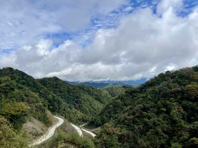 秦岭一路 19