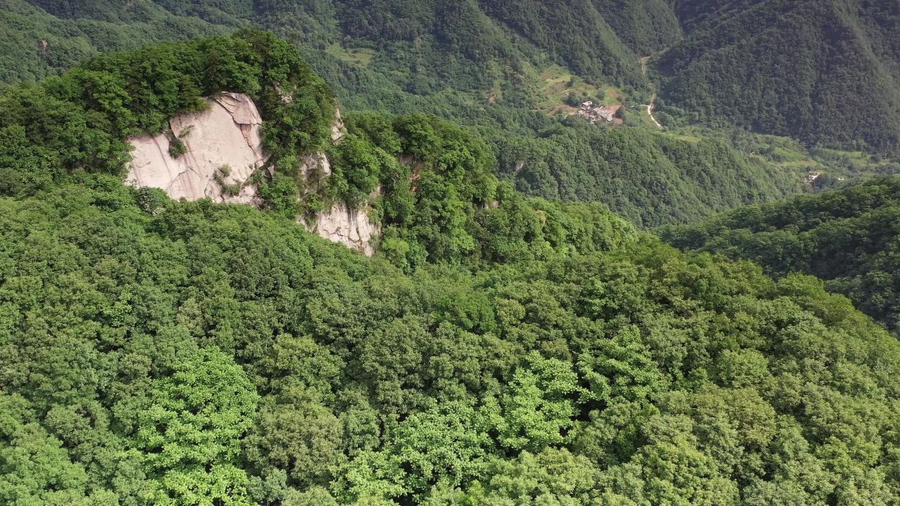 山间绿意与宁静的入口