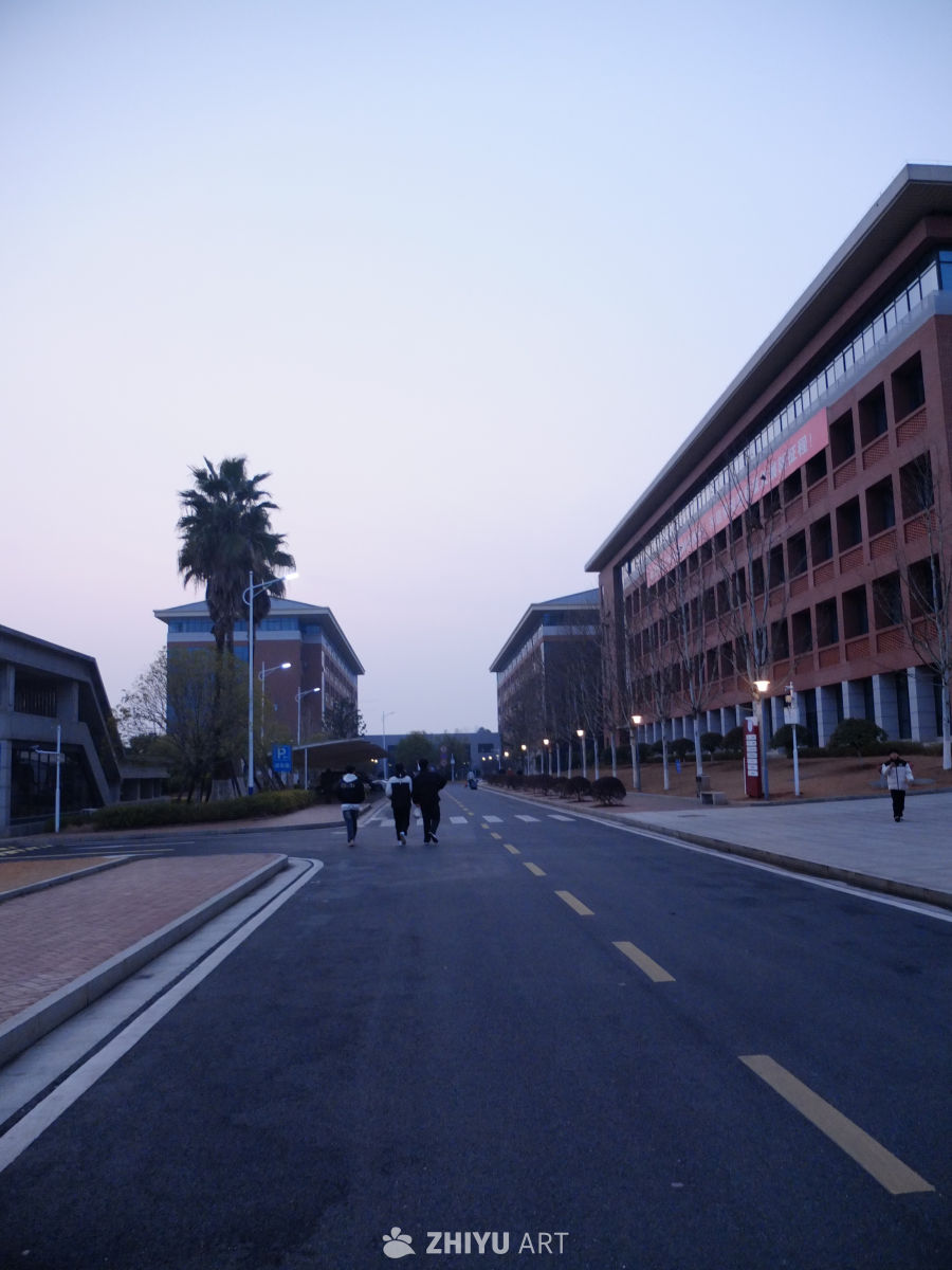 大学 21