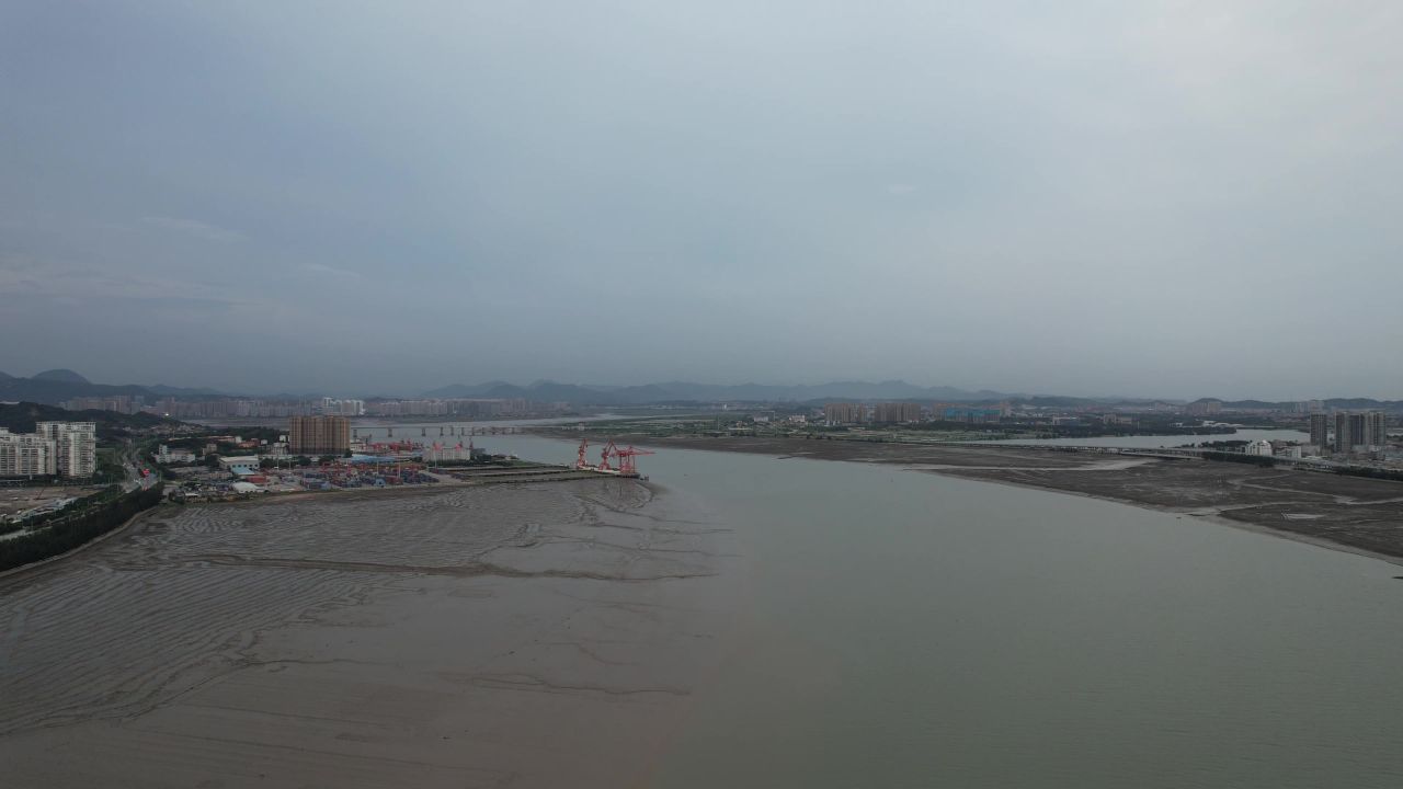 退潮后大海赶海实拍 