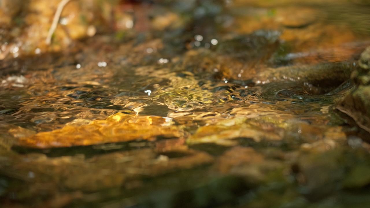 山泉水矿泉水潺潺小溪流水瀑布 4