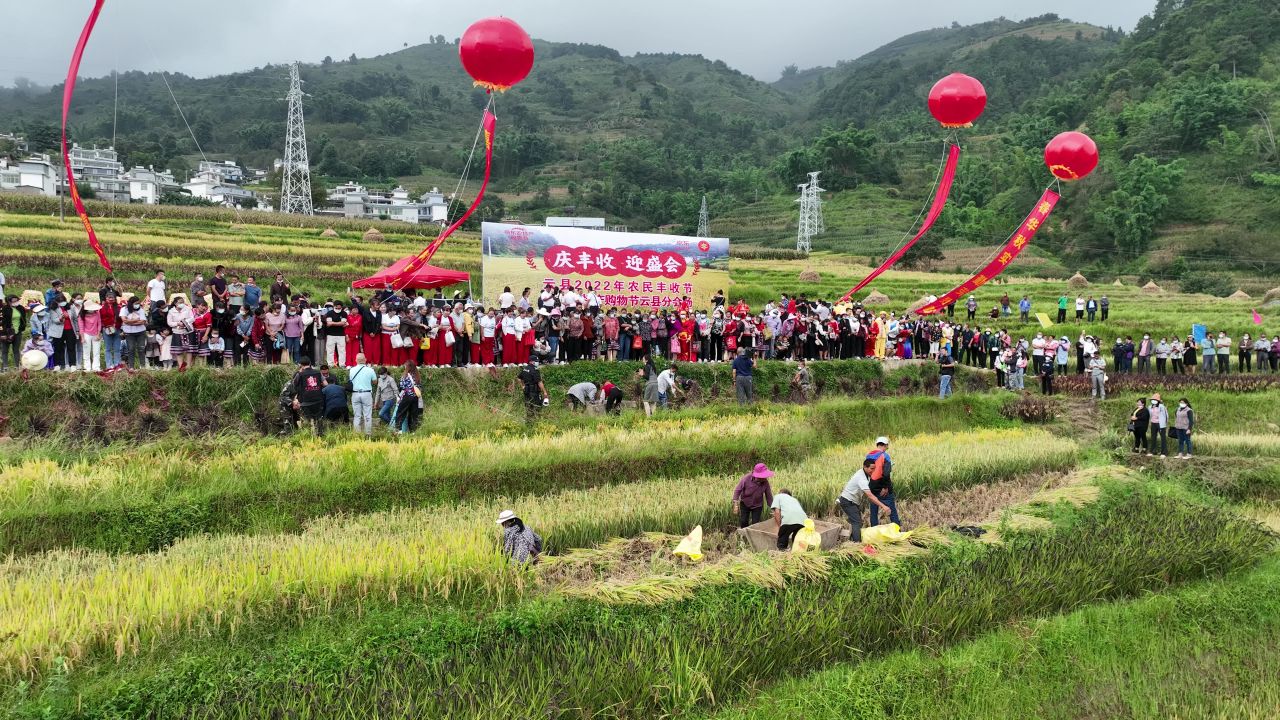 丰收的喜悦 77