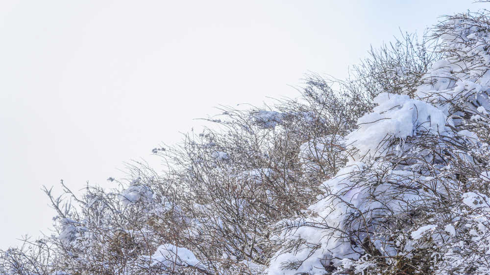 峨眉山雪