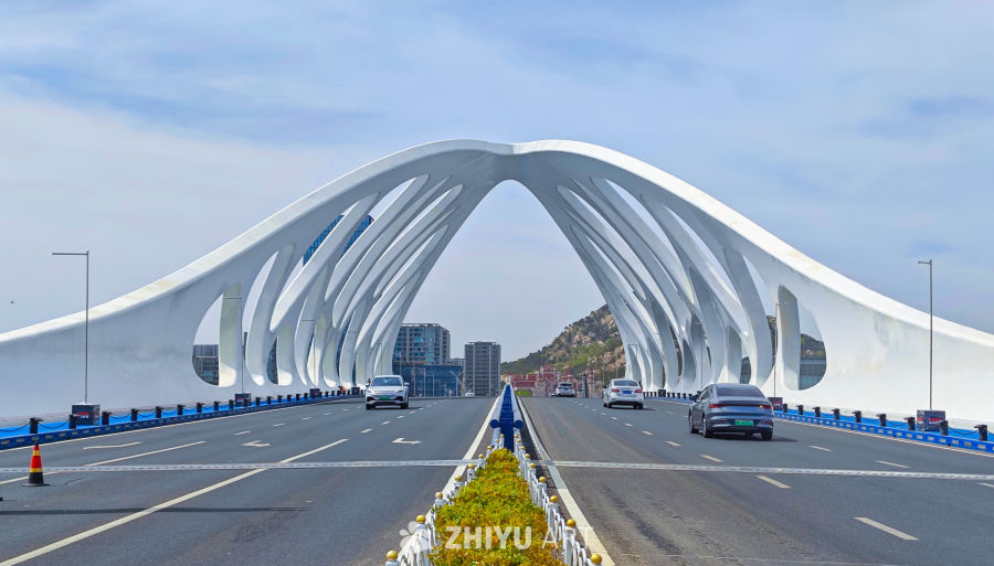 青岛黄岛区星光岛东方影都 10