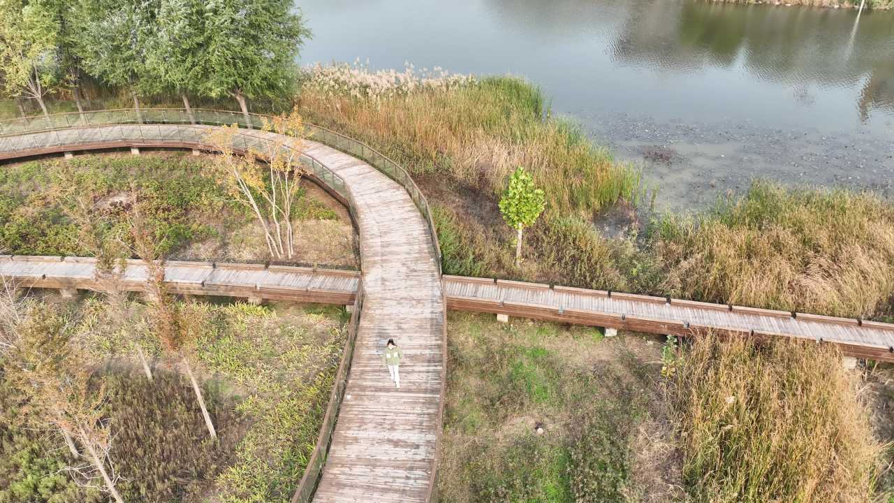湿地漫步
