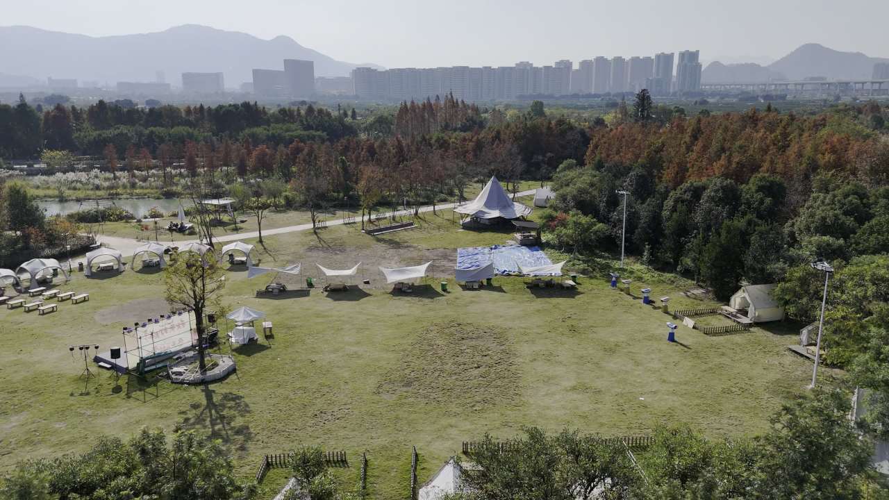 湿地红杉 28