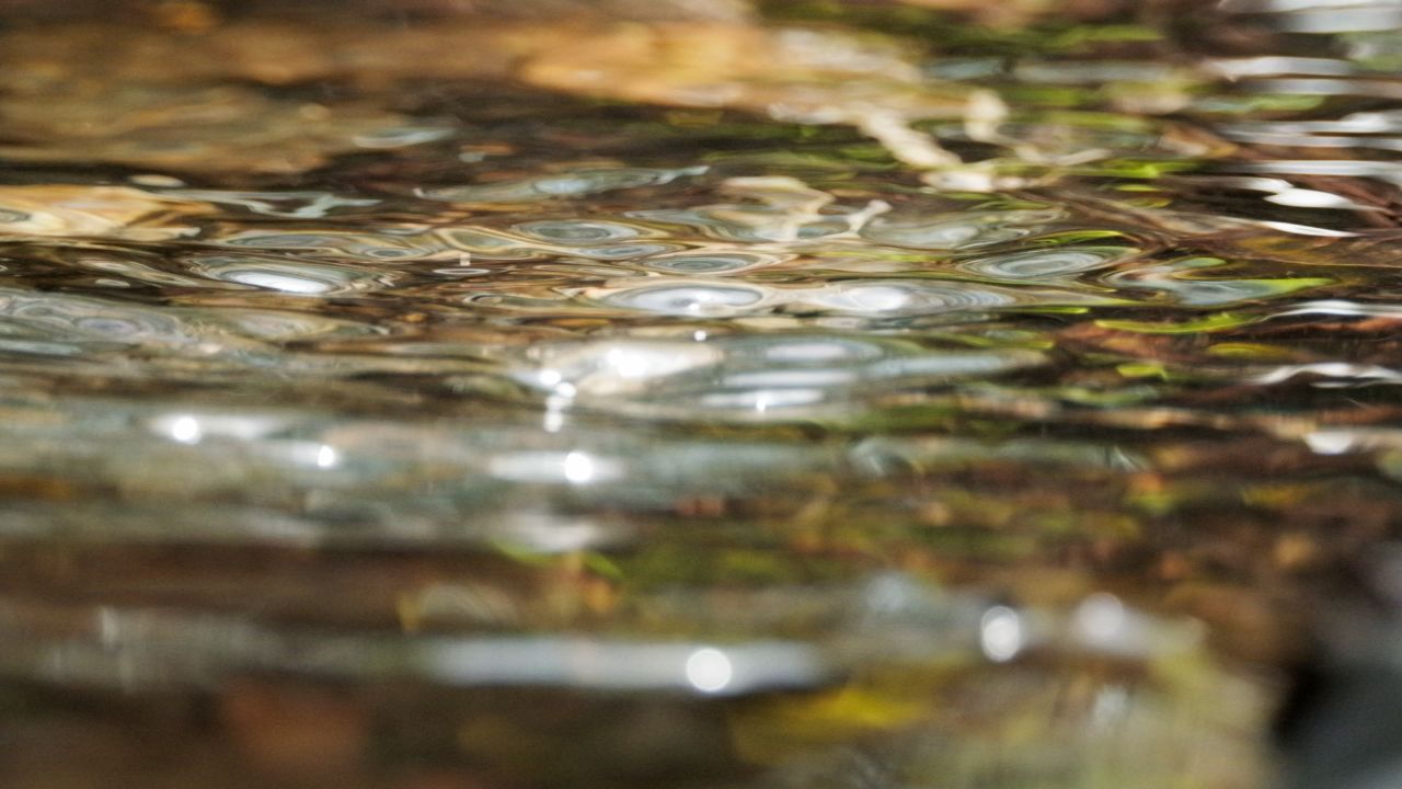 泉水小溪瀑布4K实拍镜头